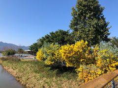 -琅岐红光湖公园