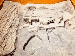 -洛阳周王城天子驾六博物馆