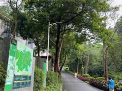 -火炉山森林公园