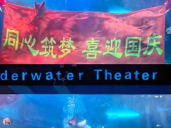 -泉城欧乐堡海洋极地世界