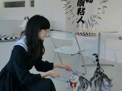 -怪兽屋·羊驼·猫咖·狗咖(俊华广场店)