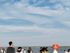 -碧海金沙