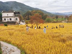 -塔川景区