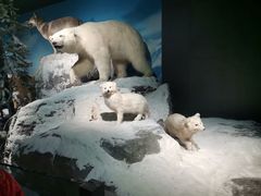 -浙江自然博物院(杭州馆)