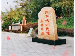 -羚羊峡古栈道森林公园