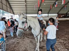 -月河湾马术俱乐部(朝阳店)