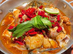 -菌自由丨野生菌火锅特色庭院餐厅(丽江古城店)