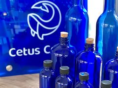 -Cetus coffee鲸鱼座咖啡·拼豆(二仙桥公园店)
