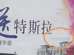 -TESLA 特斯拉(郑州正弘城体验店)
