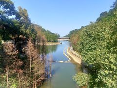 -广州市帽峰山景区