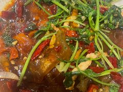 香菜粉皮炒肉丝-三味鱼屋(琥珀山庄店)