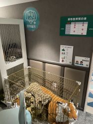 -奈尔宝家庭中心·亲子餐厅(华采天地店)