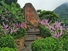 -桃花岛风景旅游区
