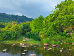 -深圳仙湖植物园
