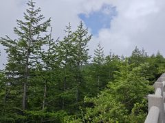 -富士山吉田線五合目