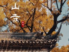 -惠山古镇·寄畅园