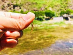 -白河湾生态旅游一条川