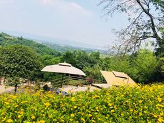-远山有窑