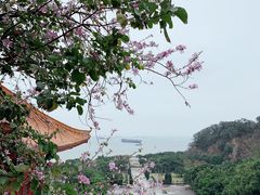 -南沙天后宫景区