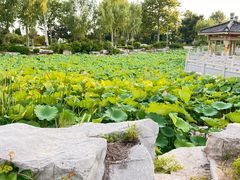 -福如东海文化园