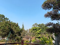 -东莞植物园