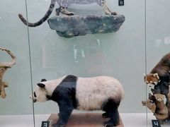 -国家自然博物馆