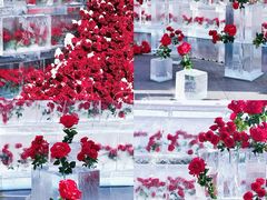 -万达广场(龙湖店)