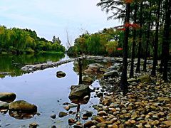 -新江湾城公园