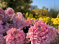 -西北湖绿化广场