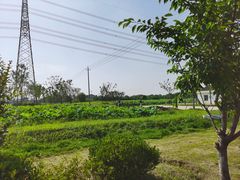 -梁鸿国家湿地公园