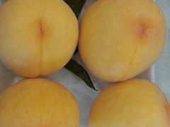 -果叔(红旗街店)