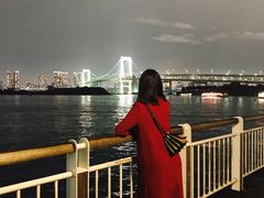 -台场海滨公园船码头