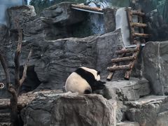 -鄂尔多斯野生动物园