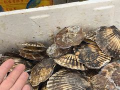 -岳各庄批发市场(西四环中路店)