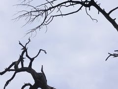 -玉泉观
