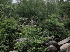 -道须沟旅游风景区
