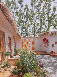 -DORA kids 朵拉儿童摄影花园店