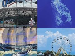 -香港海洋公园