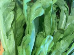 -蝎王府羊蝎子(西直门店)