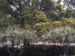 zhao mei ling-解放公园