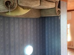-金山农民画村-枫泾波兰倒置屋