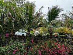 -海南槟榔谷黎苗文化旅游区