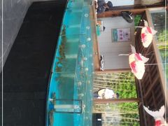 -耕渔小院·湖南鱼鲜(望城店)