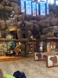 -卡通尼·Safari非洲探索乐园·生日会(金桥国际商业广场店)