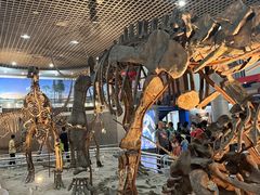 -国家自然博物馆