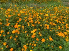 -云漫湖生态度假公园