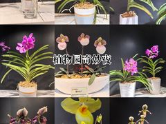 -北京植物园-展览温室