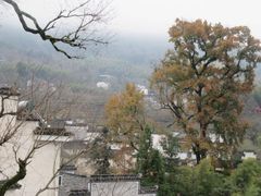 -塔川景区