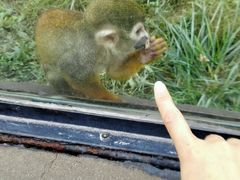 -石家庄市动物园