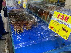 水产区-东江海鲜酒家(艺都分店)